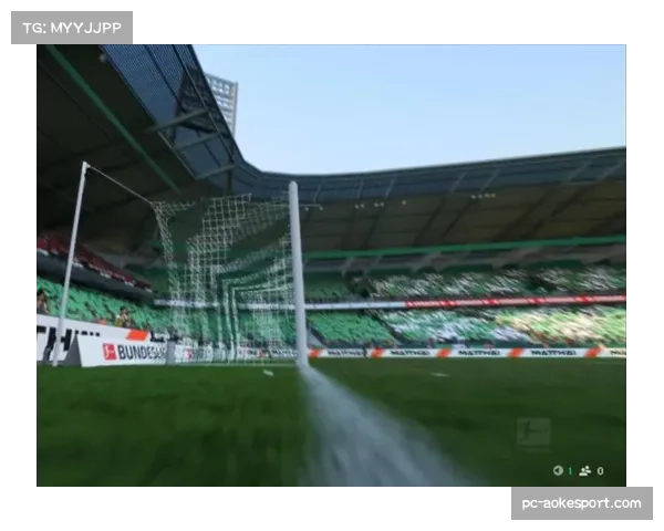 威悉球场专业除雪公司入驻，保障比赛条件